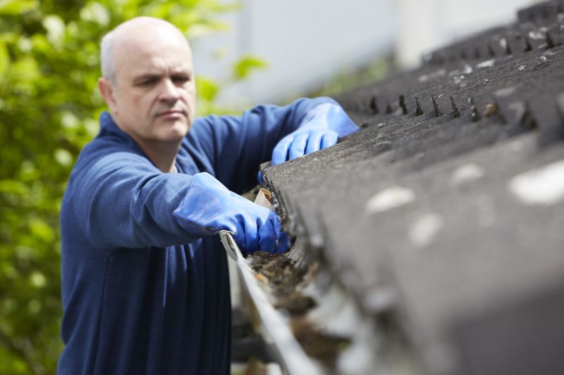 Gutter Cleaning Services