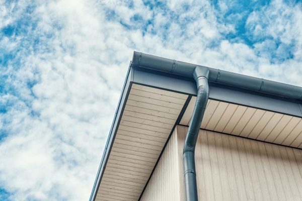 Gutter Fascia Repair in Hillsborough